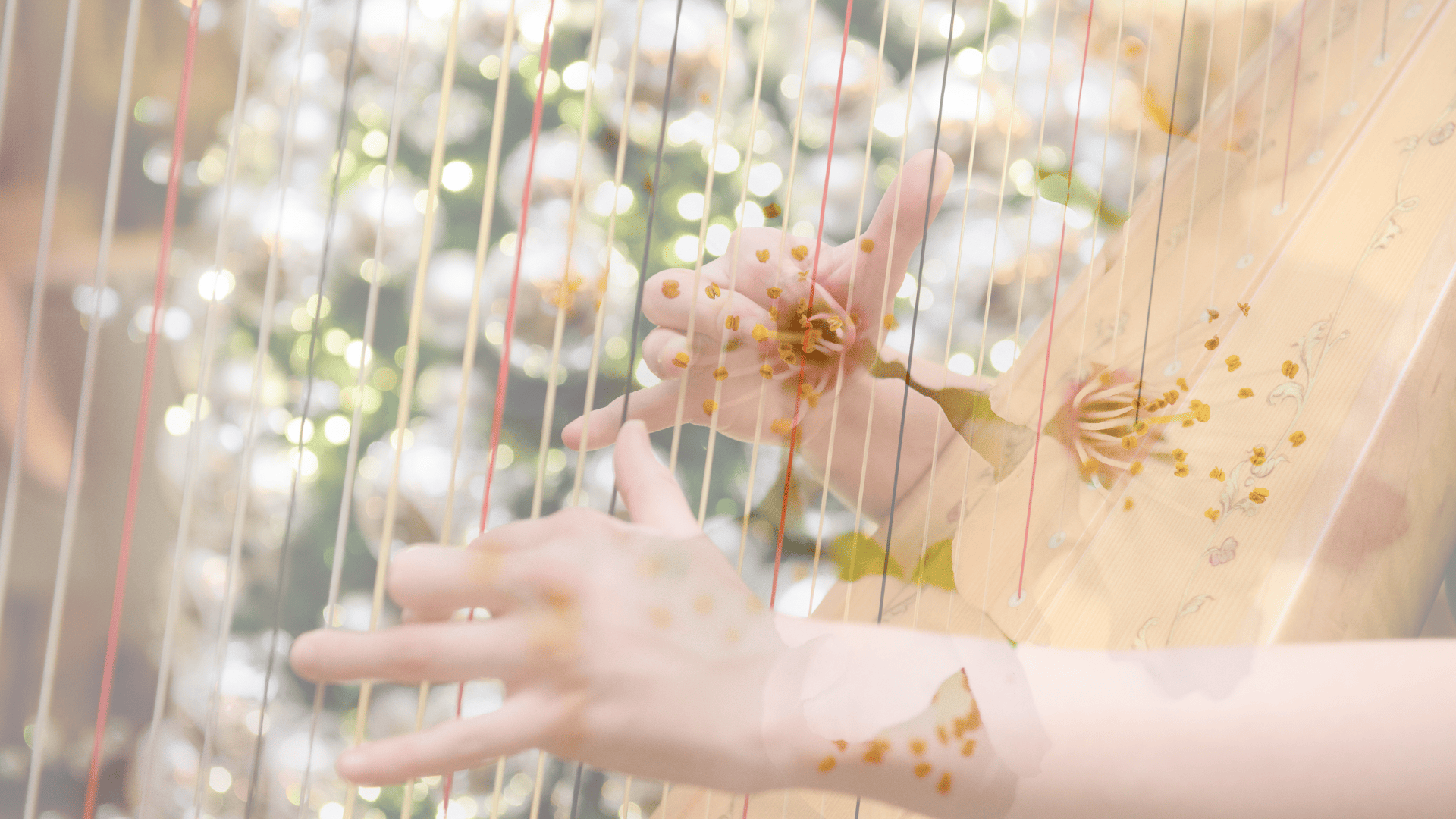 5 Die Sanftheit einer Harfe